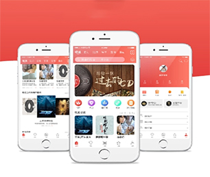 泰安APP定制企业数字化电商系统为了客户的成功而不断创新【限时优惠，立即抢购】